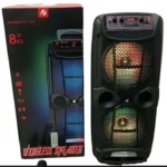 KTS 1743 Speaker Dual 8*8 Portable speaker wire Bluetooth Speaker with Mike