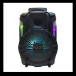 KTS 1175 Karaoke Bluetooth Speaker with Remote and Mic - Image 4