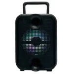 GTS-2307 Portable Wireless Speaker - Image 4