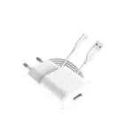 Infinix XC08 10W 2-pin Charger With USB-Micro Cable